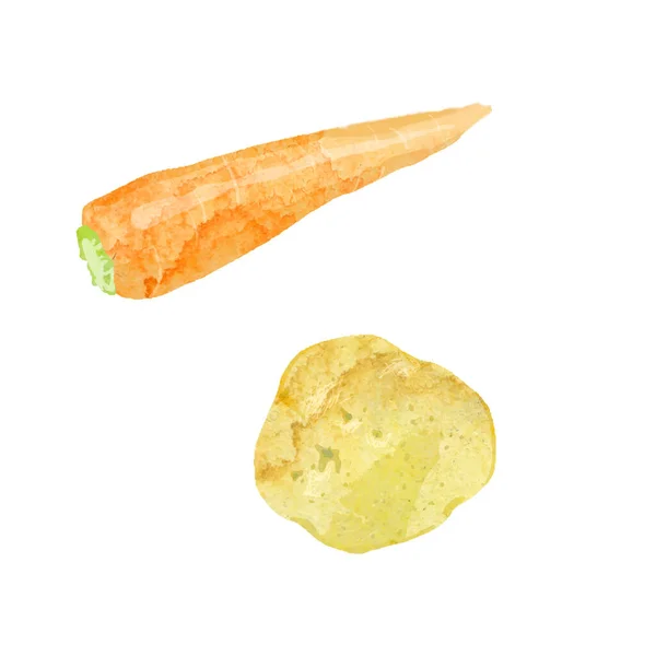 Aquarel Vector Illustratie Van Wortelen Aardappelen — Stockvector