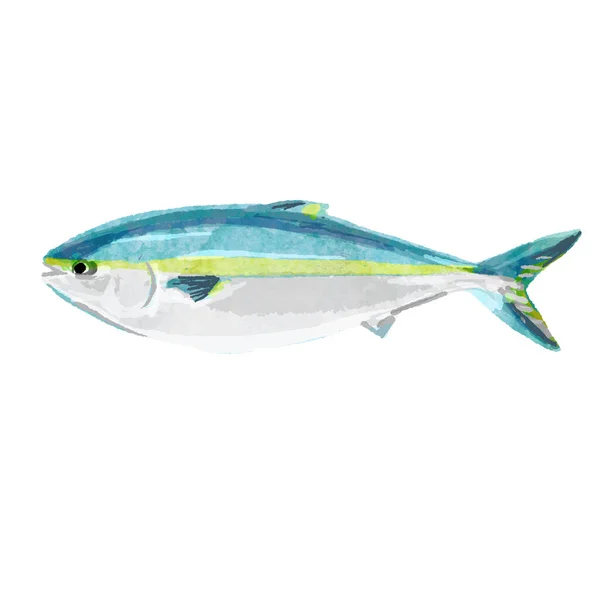 Акварельная Векторная Иллюстрация Рыбы — стоковый вектор