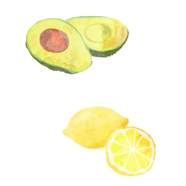 Watercolor Vector Illustration Avocado Lemonlant — Stock Vector