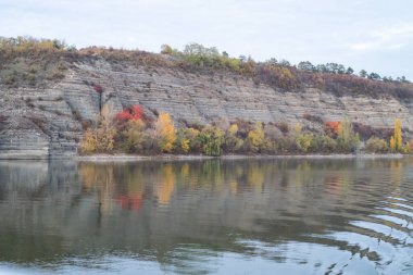 Ağaçlar ve ormanlarla dolu sonbahar manzarası