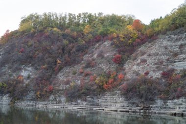 Ağaçlar ve yapraklarla dolu güzel sonbahar manzarası