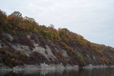 Ağaçlar ve ormanlarla dolu güzel sonbahar manzarası
