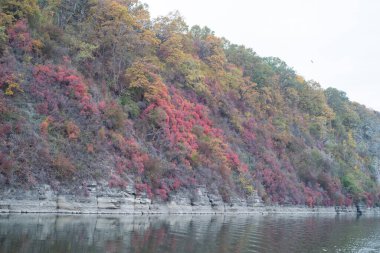 Parktaki gölün güzel manzarası