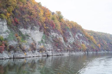 Renkli ağaçlarla dolu güzel sonbahar manzarası