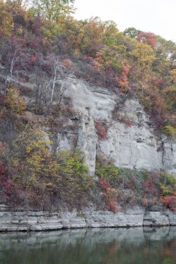 Ağaçlar ve yapraklarla dolu güzel sonbahar manzarası