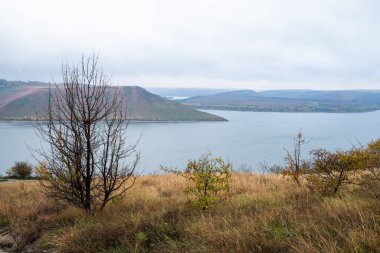 Nehir ve ağaçlarla dolu güzel bir manzara