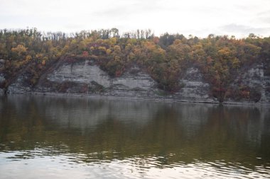 Ağaçlar ve yapraklarla dolu güzel sonbahar manzarası
