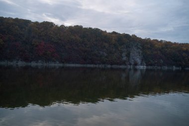 Ağaçlar ve ormanlarla dolu sonbahar manzarası