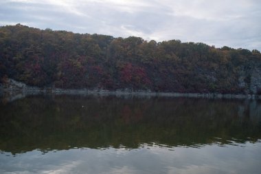 Ağaçlar ve yapraklarla dolu güzel sonbahar manzarası