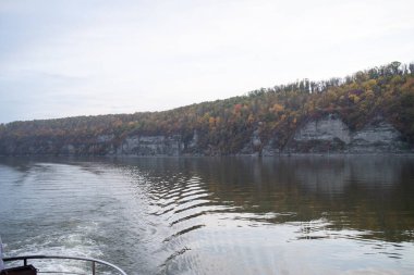 Ağaçlar ve ormanlarla dolu güzel sonbahar manzarası