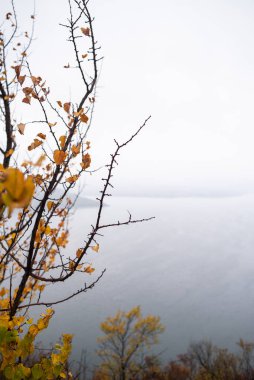 Güzel göl manzarası