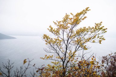 Dağlardaki güzel göl manzarası