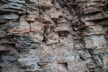 Ağaç kabuğunun dokusu