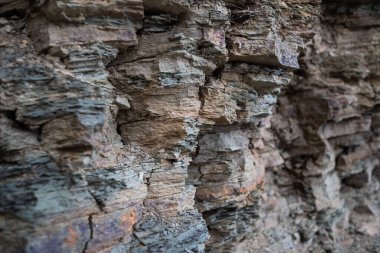 Bir ağaç kabuğuna yakın.
