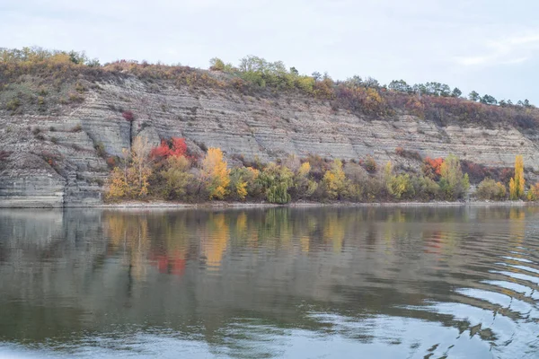 Ağaçlar ve ormanlarla dolu sonbahar manzarası