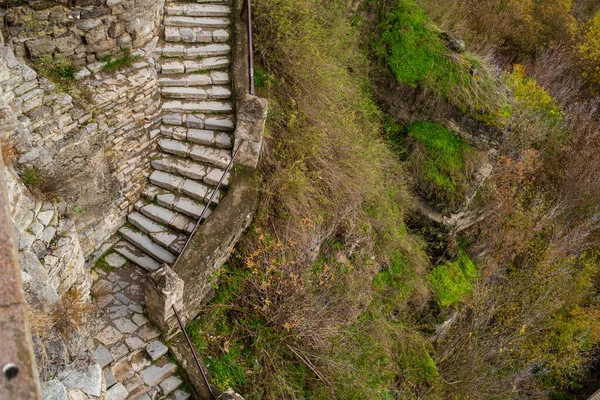 Escaliers Pierre Dans Forêt — Photo