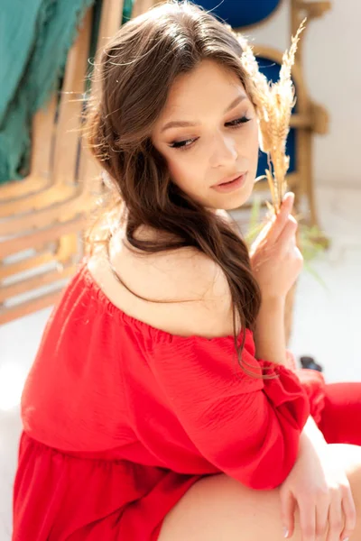 Hermosa Mujer Sonriente Vestido Largo Rojo Posando Sensual — Foto de Stock