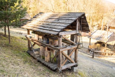 Ormandaki ahşap kulübe