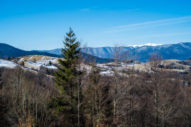 Baharın başlarında dağlarda. Karlı tepe ve kozalaklı orman