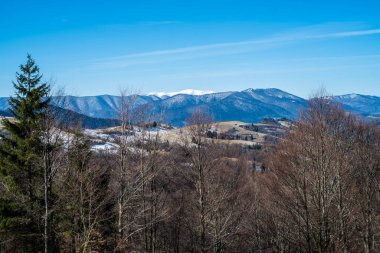 Baharın başlarında dağlarda. Karlı tepe ve kozalaklı orman