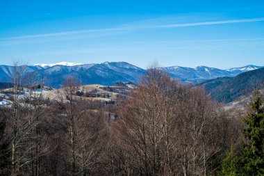Baharın başlarında dağlarda. Karlı tepe ve kozalaklı orman