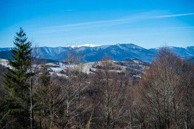 Baharın başlarında dağlarda. Karlı tepe ve kozalaklı orman