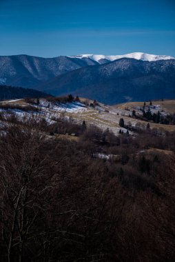 Baharın başlarında dağlarda. Karlı tepe ve kozalaklı orman