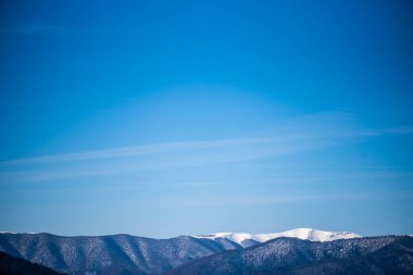 Baharın başlarında dağlarda. Karlı tepe ve kozalaklı orman