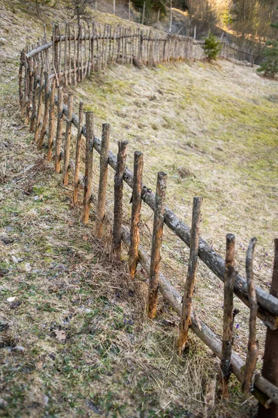 Kerítés Erdőben — Stock Fotó