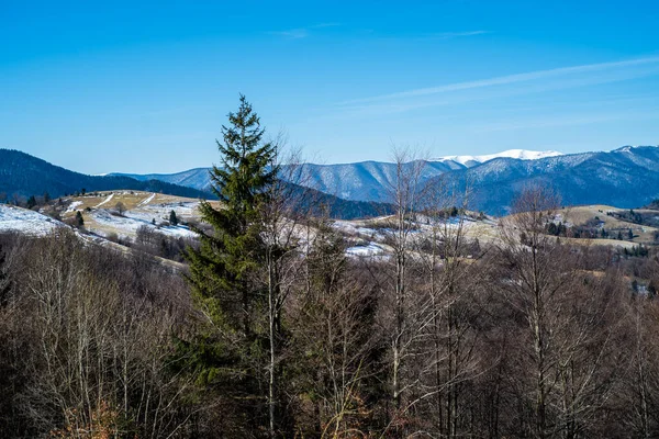 stock image Early spring in mountains. Snowy peak and coniferous forest