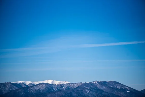 Stock image Early spring in mountains. Snowy peak and coniferous forest