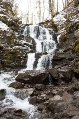 Doğa parkında kış şelalesi