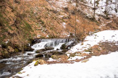 Ormanda güzel bir şelale