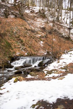Ormanda güzel bir şelale