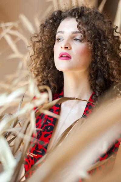 stock image beautiful young woman with curly hair in a red dress