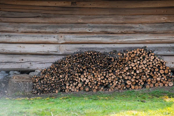 Hromada Dřeva Podpal Lese — Stock fotografie