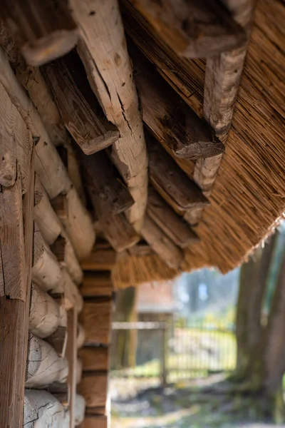 Dřevěná Chata Doškovou Střechou Plotem Pozadí — Stock fotografie