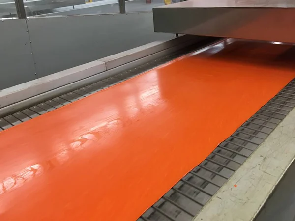modern metal conveyor belt for the production of the factory