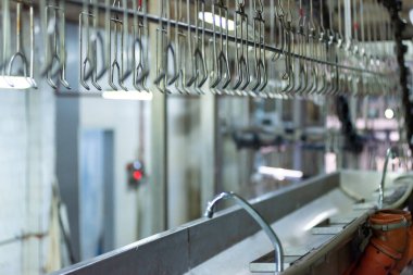 Tavuk çiftliği endüstriyel ekipmanı