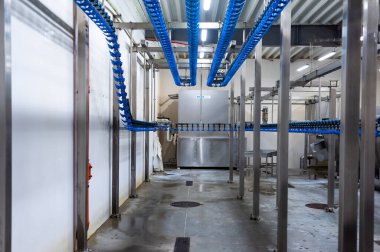 Tavuk çiftliği endüstriyel ekipmanı