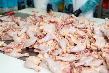 Tavuk çiftliği endüstriyel ekipmanı
