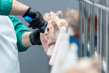 Tavuk çiftliği endüstriyel ekipmanı