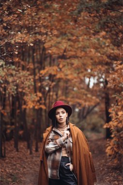 Ormanda yürüyen şapkalı güzel bir kadın. 
