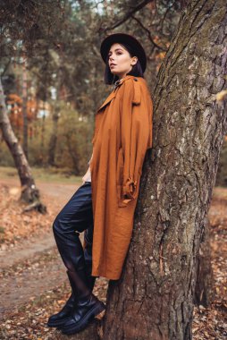 Güz parkında siyah deri ceketli ve şapkalı güzel bir kadın poz veriyor. moda fotoğrafı 