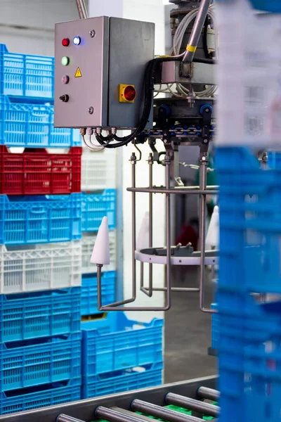 Utrustning För Industriella Produktionslinjer För Kyckling — Stockfoto
