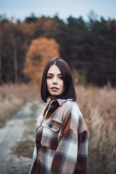 stock image portrait of a young woman with long hair in a sweater in an autumn forest 