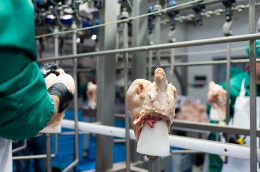 Et ve ürün üretimi 