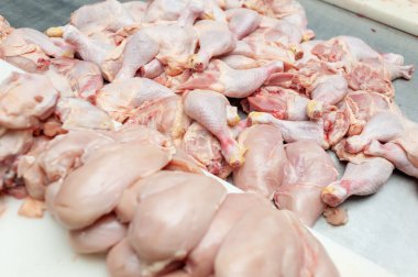 raw chicken meat on the market