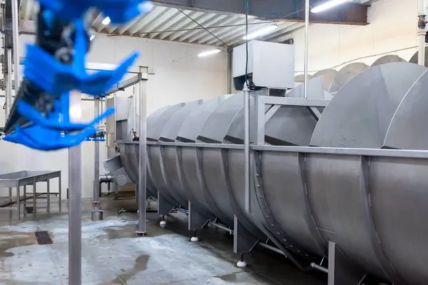 production of fresh milk and milk in factory