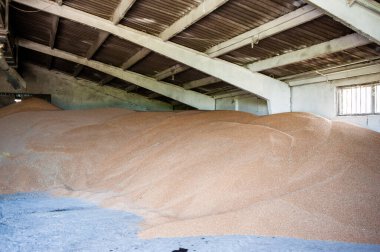 Eski terk edilmiş fabrika binası